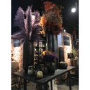 Brushed tree table on iron U feet - wood + metal - matt black - 150x100x115cm - p/1
